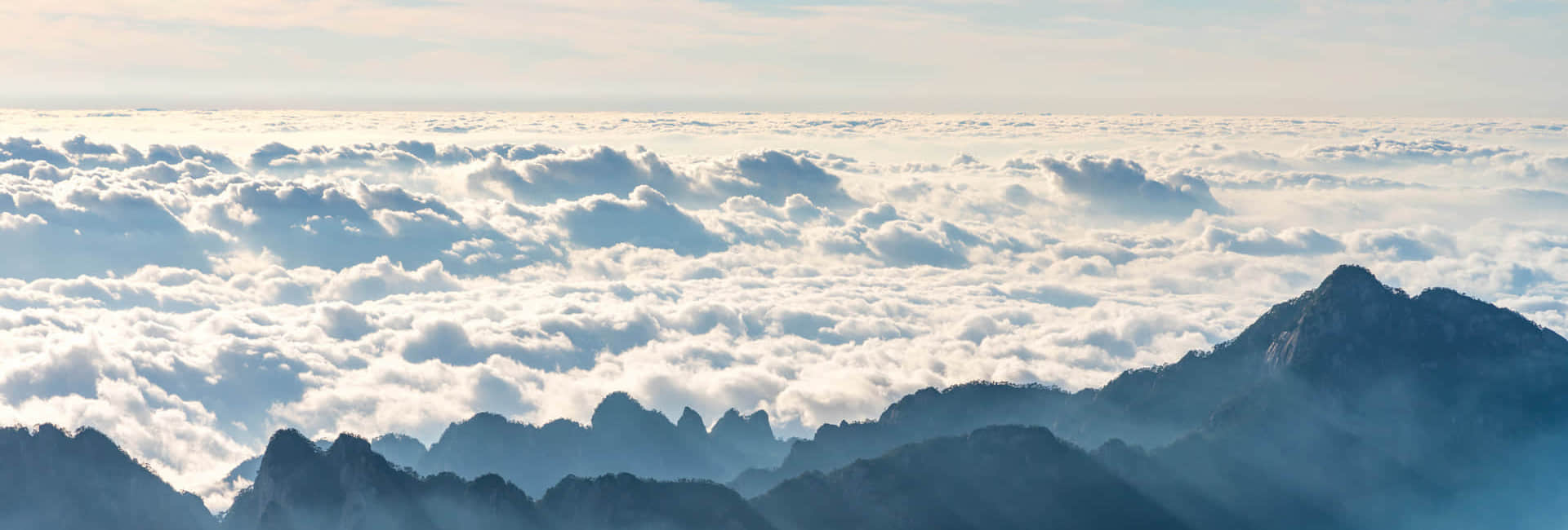 德信平台客服简介
